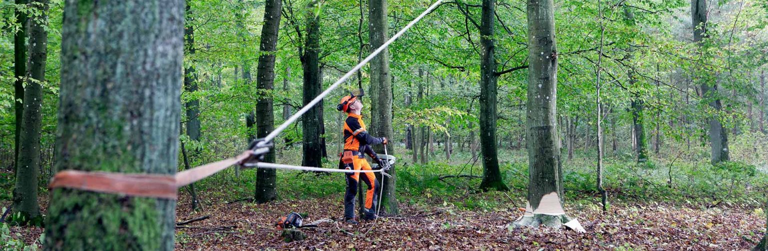 How To Safely Attach A Hand Winch To A Tree Or Post A Comprehensive