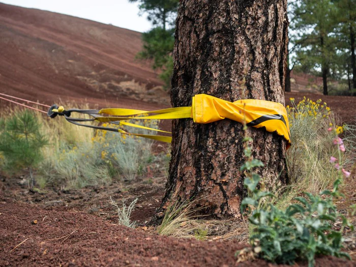 Tree Saver Strap Method